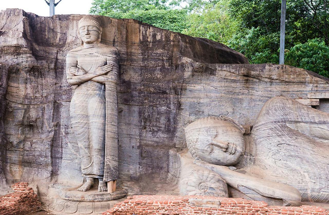 Lion Resort Polonnaruwa Buitenkant foto